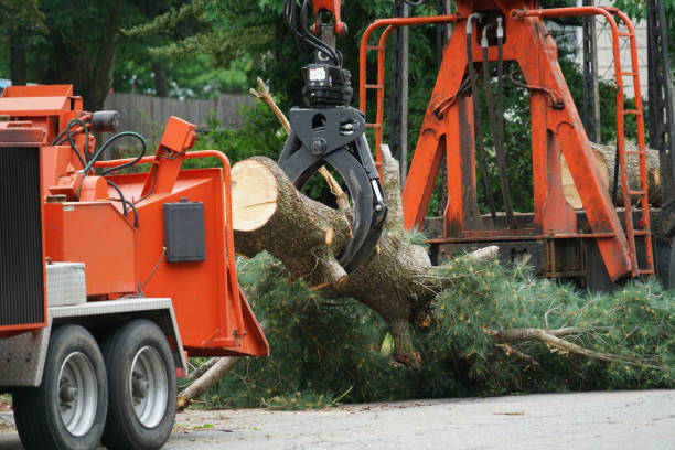 Best Lawn Drainage Solutions  in Silverton, OR